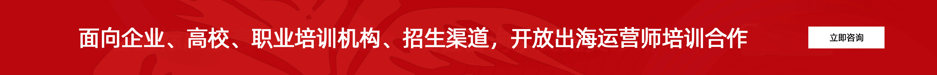面向高校、培训机构、职业教育机构、企业、团体招生渠道，开放出海运营师培训合作。